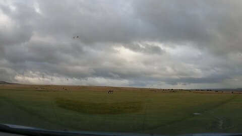 overlooking Dartmoor 24th March 2023