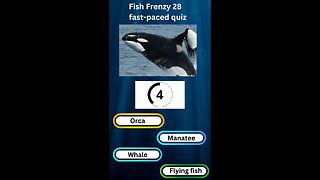 Fish Frenzy 28 A fast-paced quiz