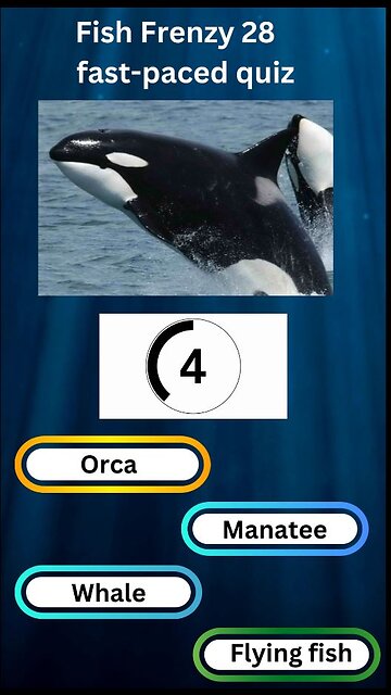 Fish Frenzy 28 A fast-paced quiz