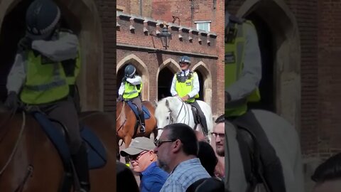 Police outside friary court st James's palace #changingoftheguard