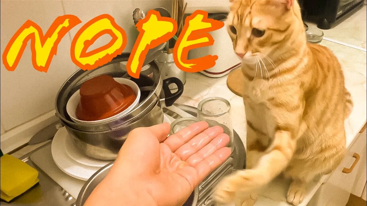 Get Your Filthy Hand Away From Me