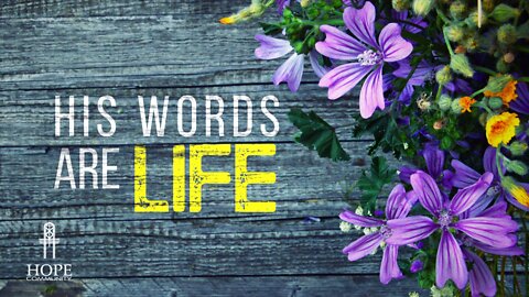 His Words are Life | Moment of Hope | Pastor Jeff Orluck