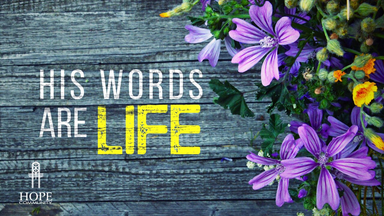 His Words are Life | Moment of Hope | Pastor Jeff Orluck
