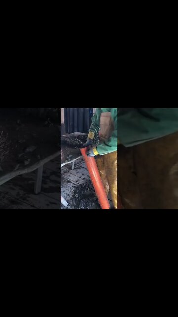 #shorts #2022 funny,prank,funjokes,dad jokes,funny memes,funny video,fun,laughing,funny animal,knock