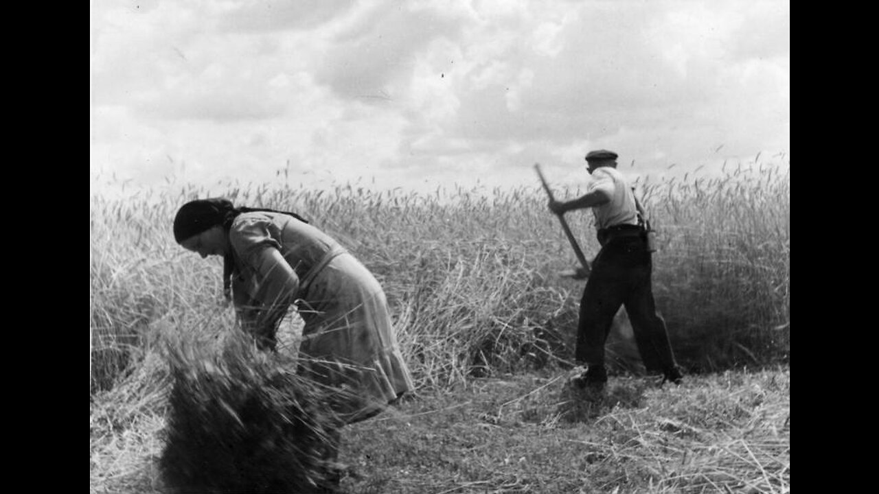 The Parable of the Wheat and Tares (Time for Truth!)