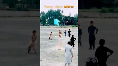 Lovely Cricket