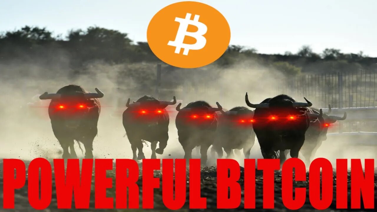 Bitcoin BULLS IN FULL CONTROL (Big Signals) February 2021 Price Prediction & News Analysis