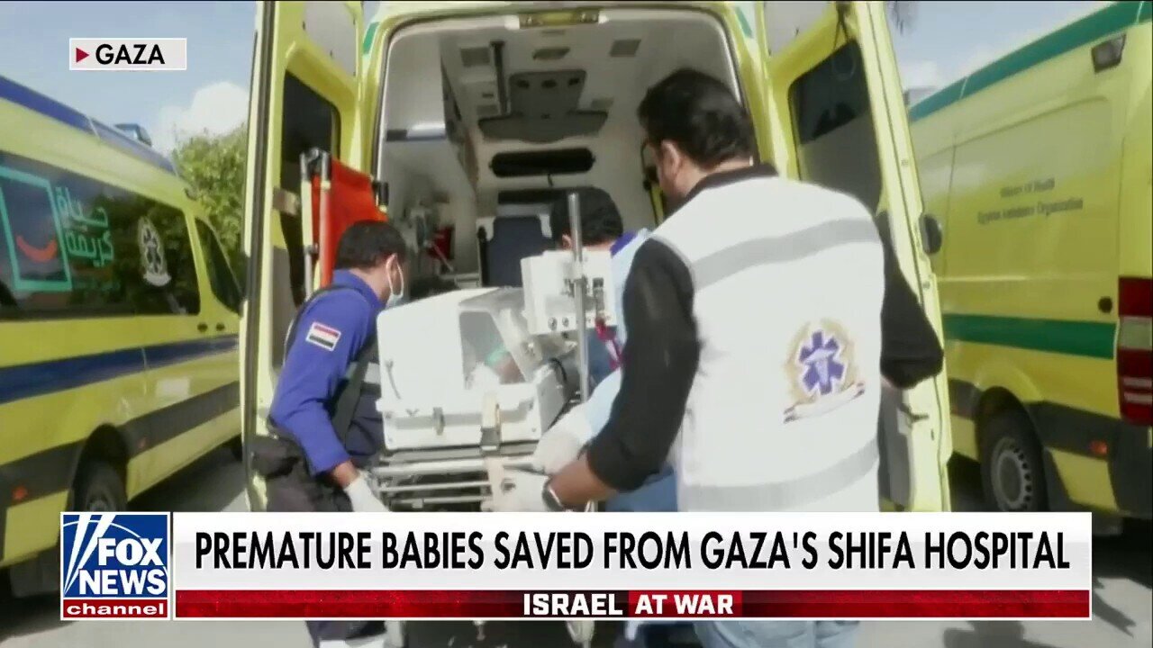 Premature Babies Evacuated, Saved From Gaza's Al-Shifa Hospital