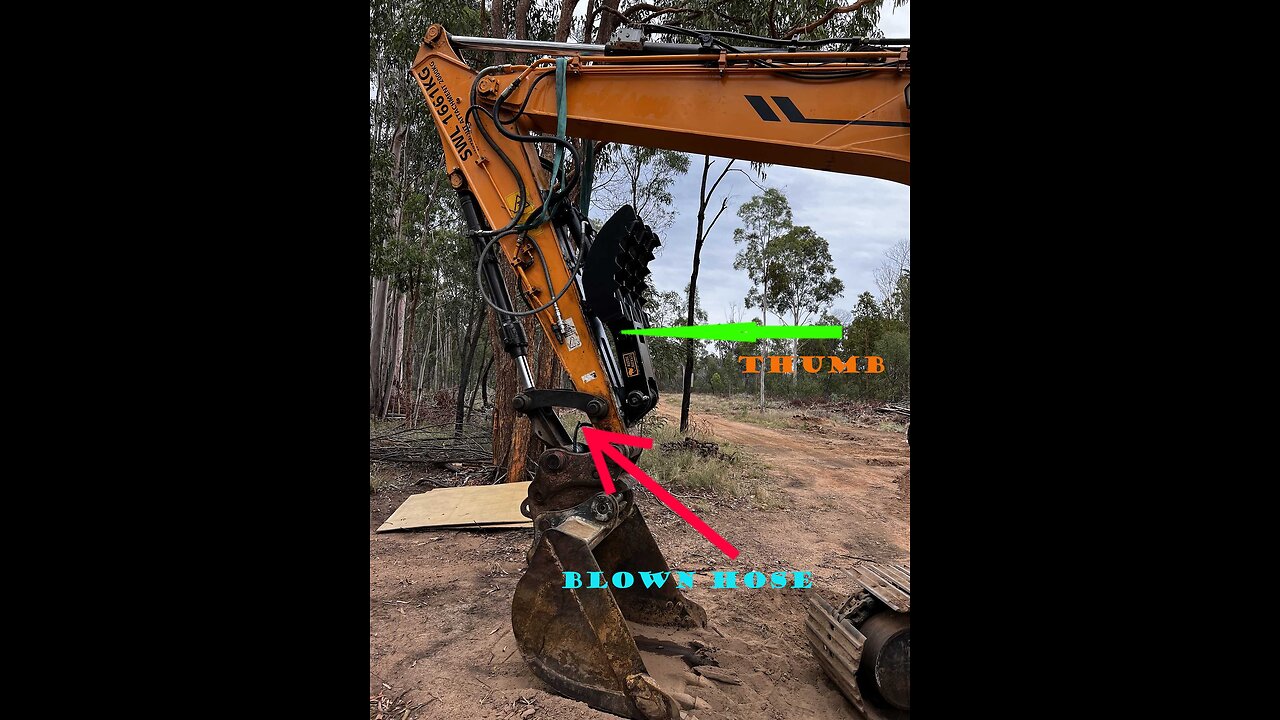 Excavator thumb