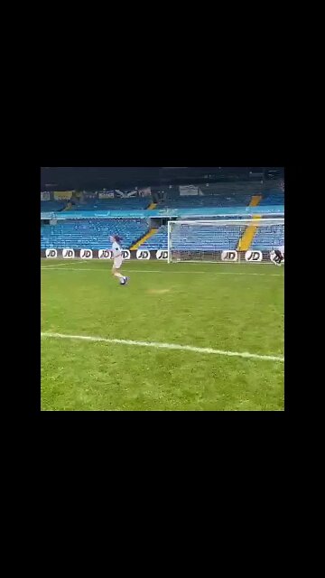 StuntPegg scores penalty
