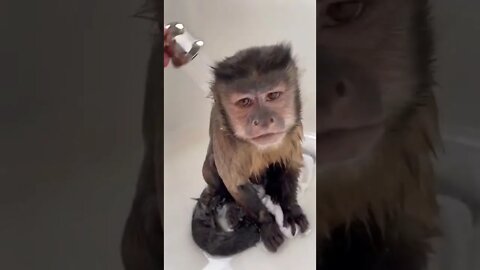 Bath Bath shenanigans 🛁🐒Gaitlyn Rae