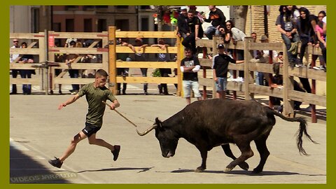 ARGUEDAS ( NAVARRA ) MATINAL VACAS CALLE ( DOMINGO 9 ABRIL 2023 ) GANAD.ALFREDO IÑIGUEZ