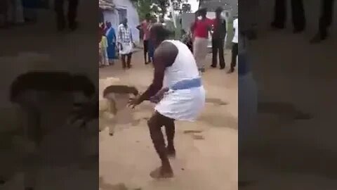 When animals fight back