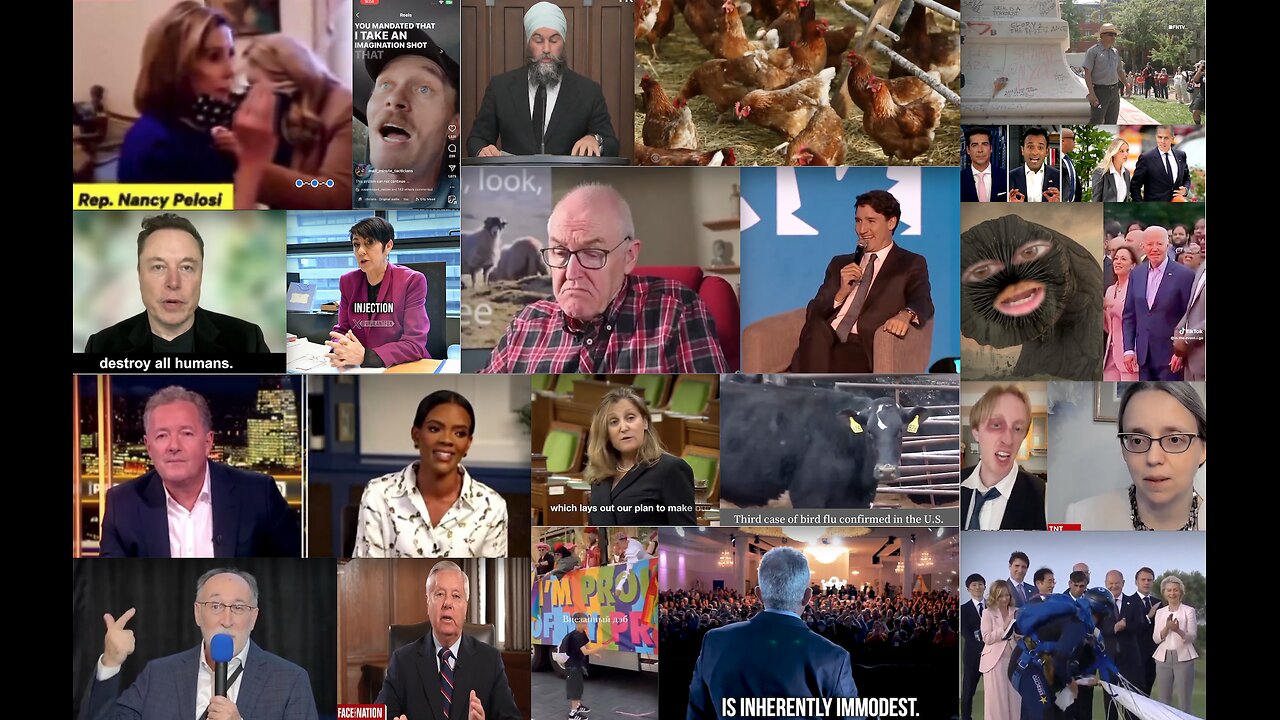 "chicken sniffles with potatus" - week in review 2024-06-14