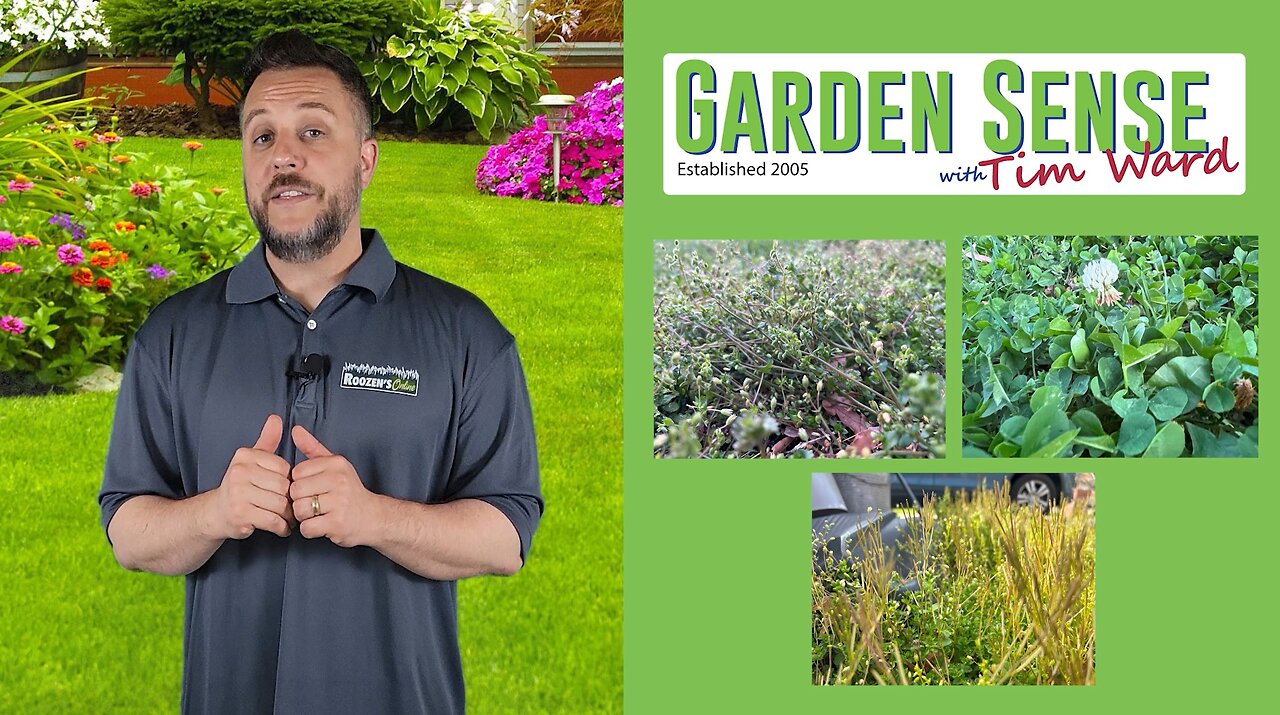 Garden Sense with Tim Ward - 05.15.24