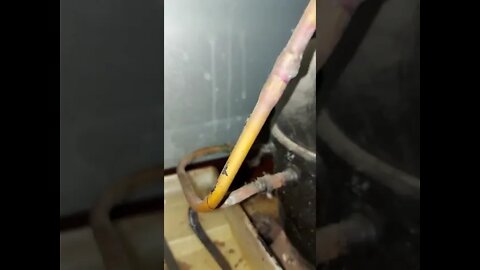 Refrigerator Not Getting Cold | Changed The Filter Dryer And Add Back Gas | Before The Job #Short