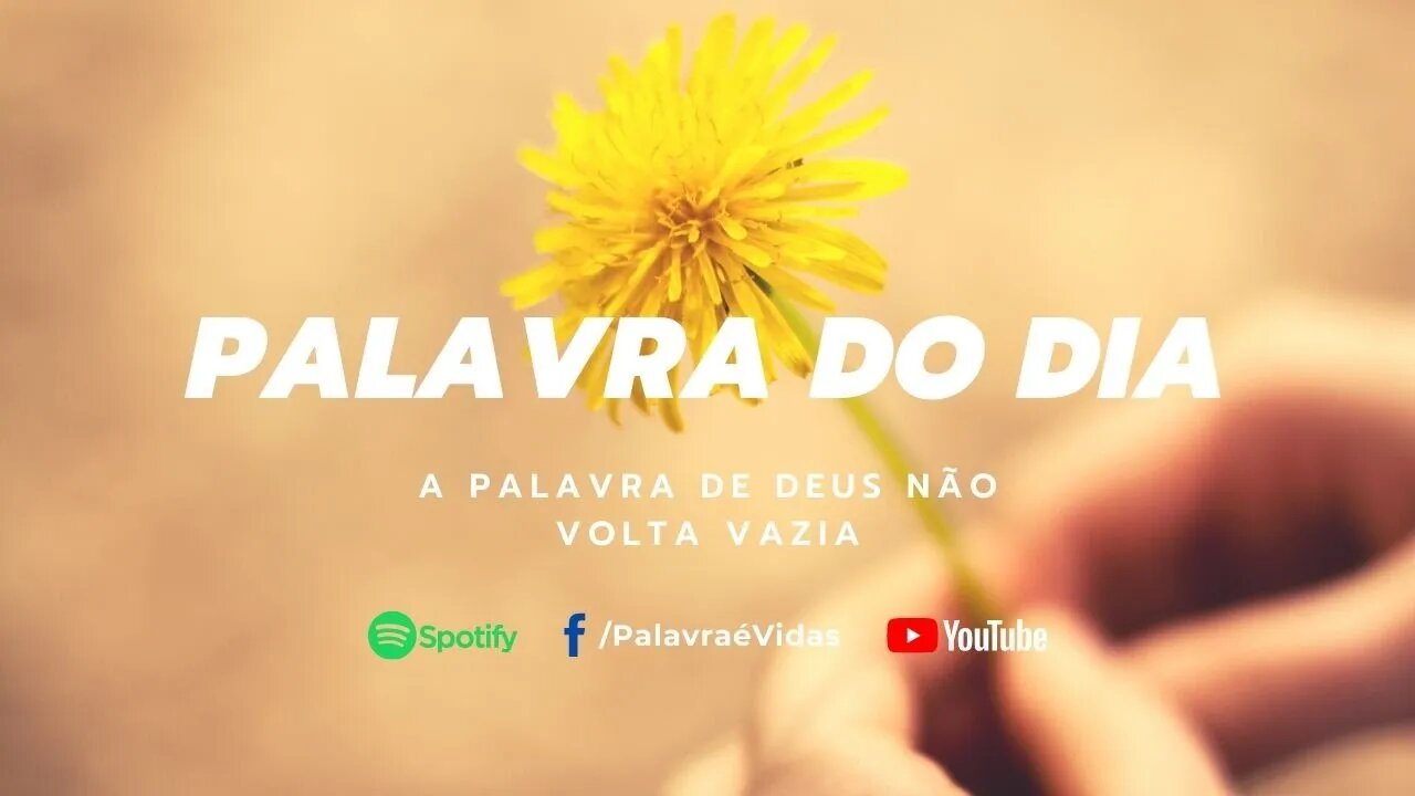 A Palavra de Deus não volta vazia - (A Palavra não Volta)