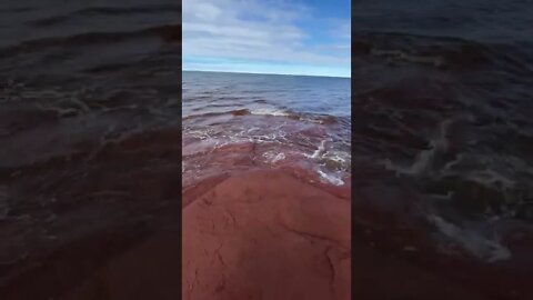 Cavendish Beach in the Spring Compilation