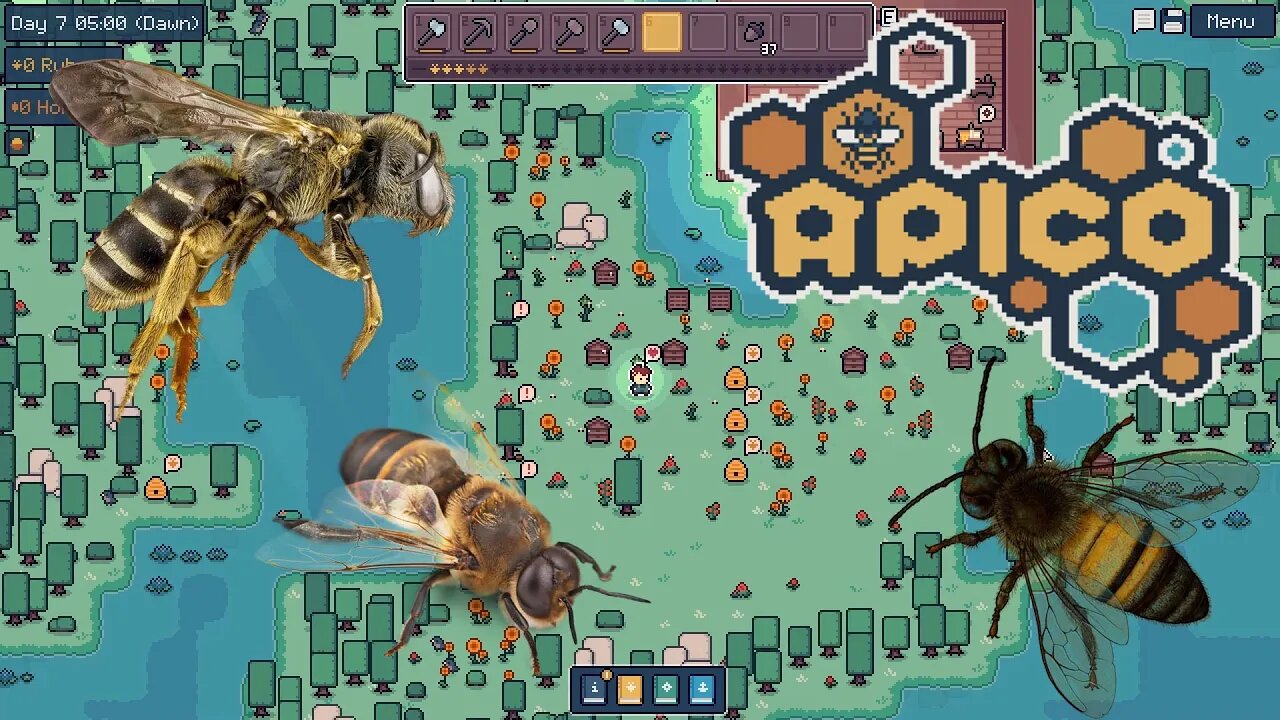 APICO - Let's Discover New Bee Species!