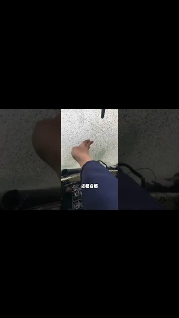 #shorts #2022 funny,prank,funjokes,dad jokes,funny memes,funny video,fun,laughing,funny animal,knock