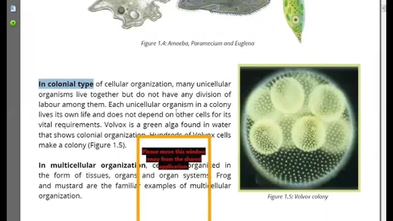 8th Bio cellular organizations