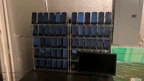 how much this crypto phone farm made 1 years