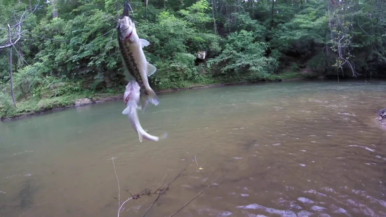 Largemouth smallies!