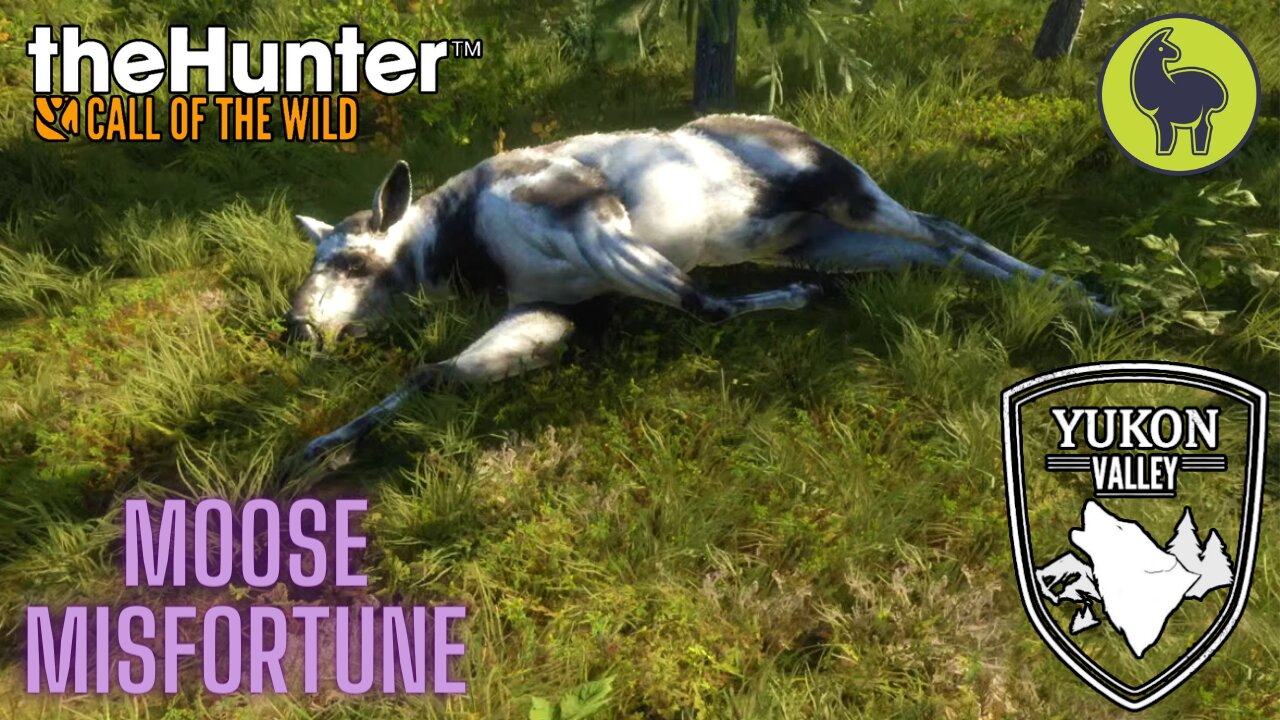 Moose Misfortune, Yukon Valley | theHunter: Call of the Wild (PS5 4K)