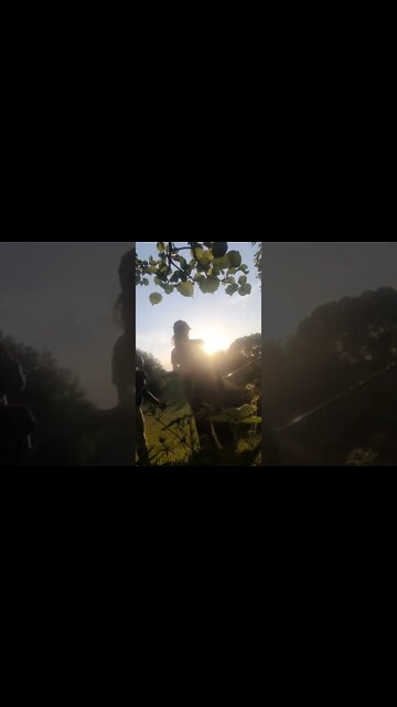 😳Amazing ideas💡-Useful idea's- Latest new gadgets ❤️#shorts