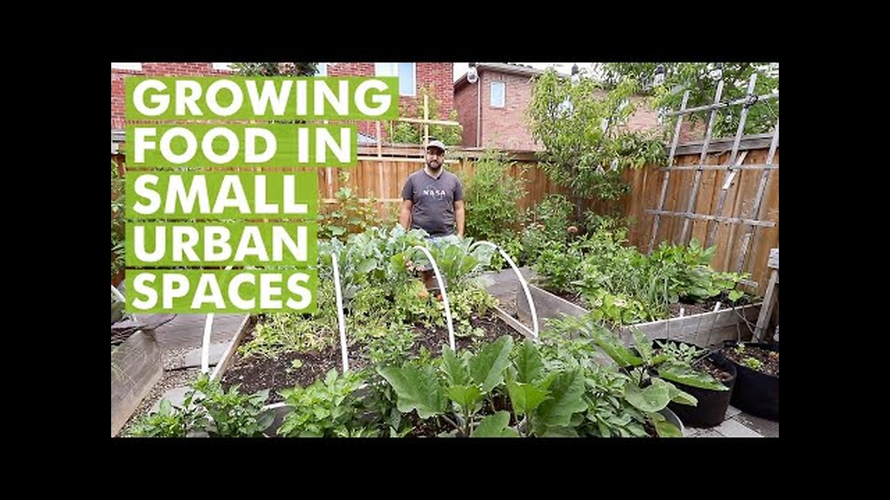 Growing Food in Urban Small Spaces - Urban Gardening