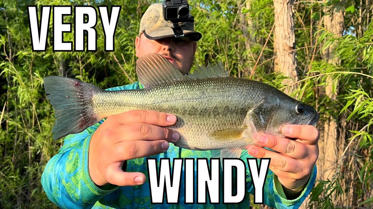 Big Bass Slurps Chatterbait on a VERY Windy Afternoon!