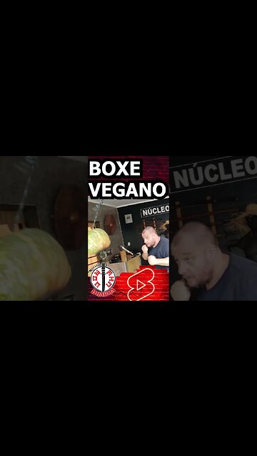 Boxe VEGANO #shorts
