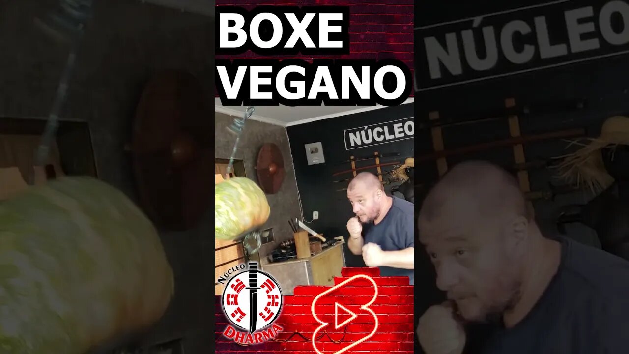 Boxe VEGANO #shorts