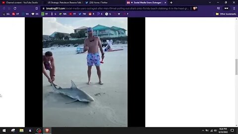 TWO MEN PULL SHARK ONTO BEACH AND STAB IT
