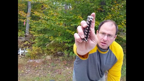 556 Green Tip Best Caliber - Steel Penetration Test