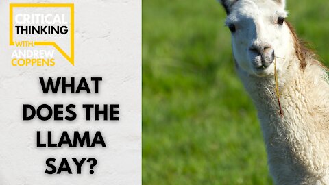 What Does the LLama Say? | 08/25/21