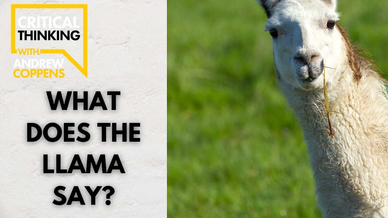 What Does the LLama Say? | 08/25/21