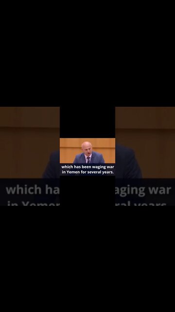 Croatian MEP calls sanctions on Russia hypocrite