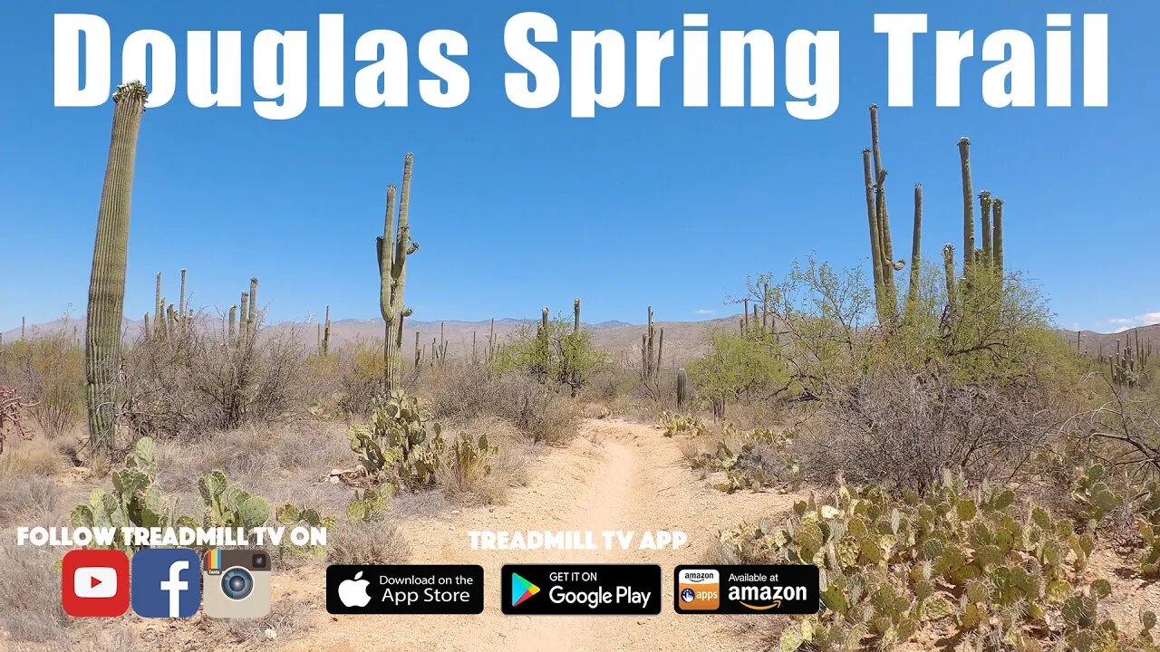 Virtual Run at Douglas Springs Trail Tucson