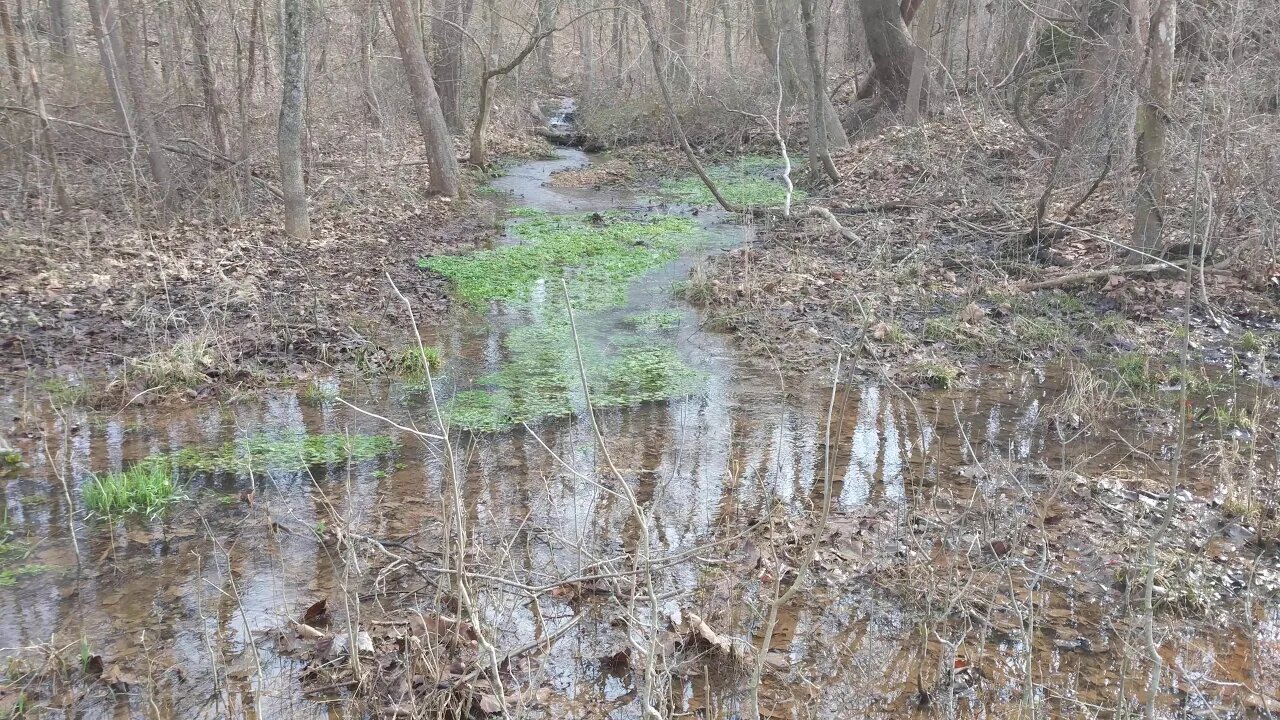 Small spring coming out if hillside along theDrySac Creek