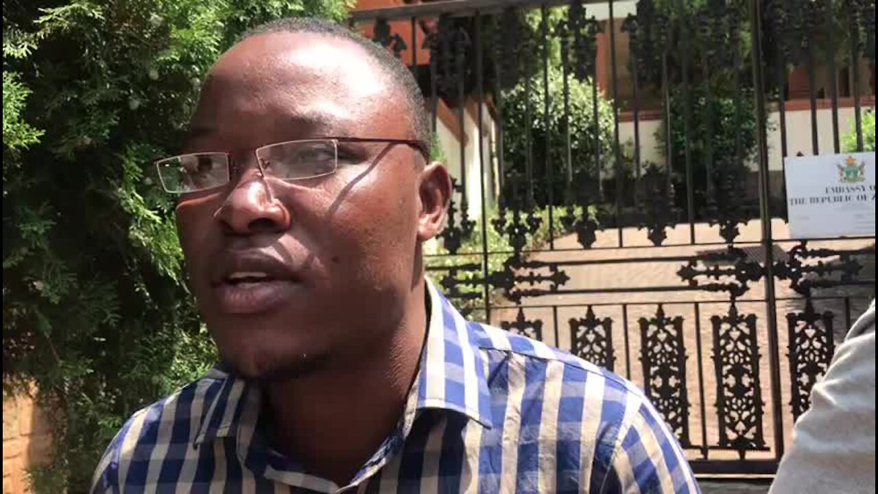 We are being hunted by Zim government, claim activists (7b7)