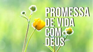 Manhã Com Deus 9 Fev — Promessa de Vida Com Deus