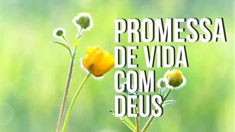 Manhã Com Deus 9 Fev — Promessa de Vida Com Deus