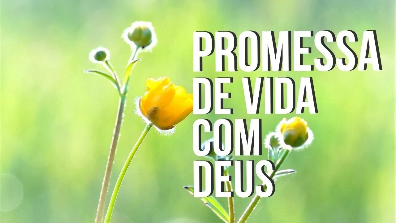 Manhã Com Deus 9 Fev — Promessa de Vida Com Deus