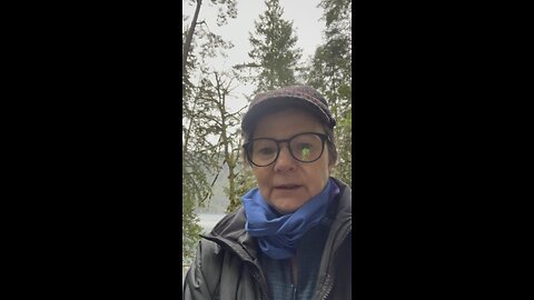 wild life by the lake