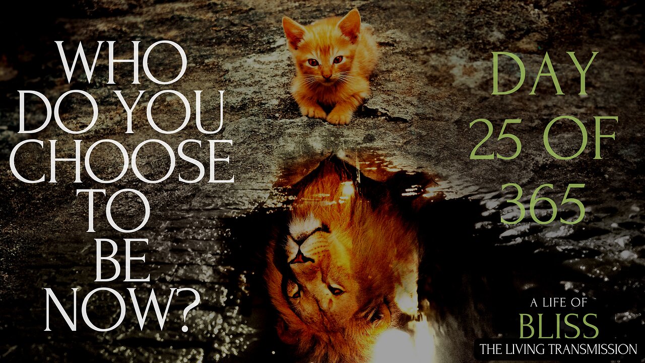 Day 25 - Who do You Choose to Be Now?