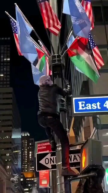 AMERICA - Land of the Free / Home of the Brave! God help us all!