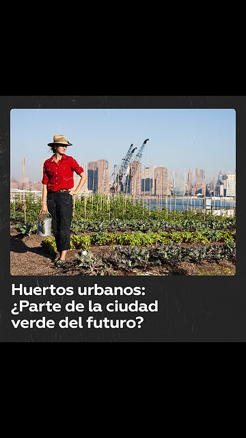 La ciudad con nuevos espacios ecológicos