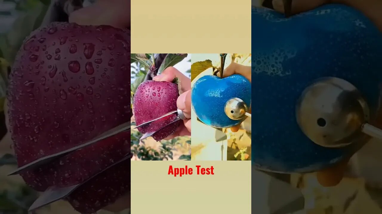 Apple #shorts #fruit #food