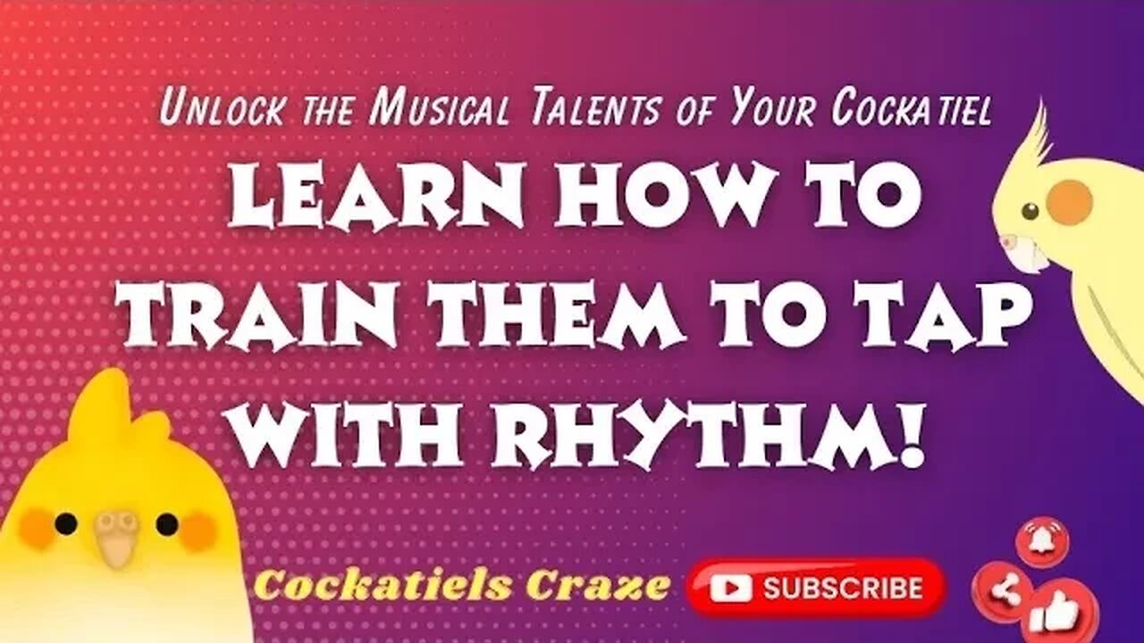 Unlock the Musical Talents of Your Cockatiel: Learn How to Train Them to Tap with Rhythm!